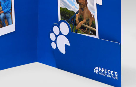 Bruce's Doggy Day Care Presentation Pack