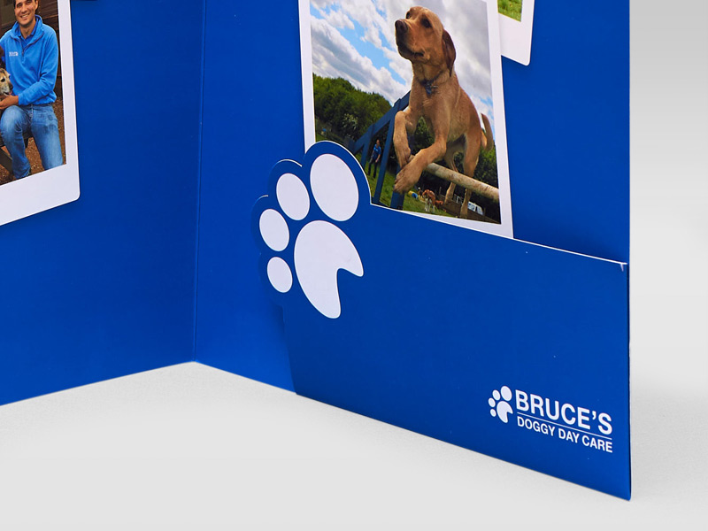 Bruce's Doggy Day Care Presentation Pack