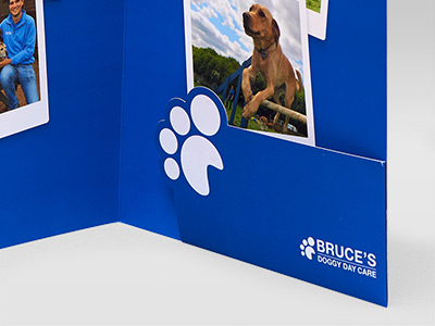 Bruce's Doggy Day Care Presentation Pack