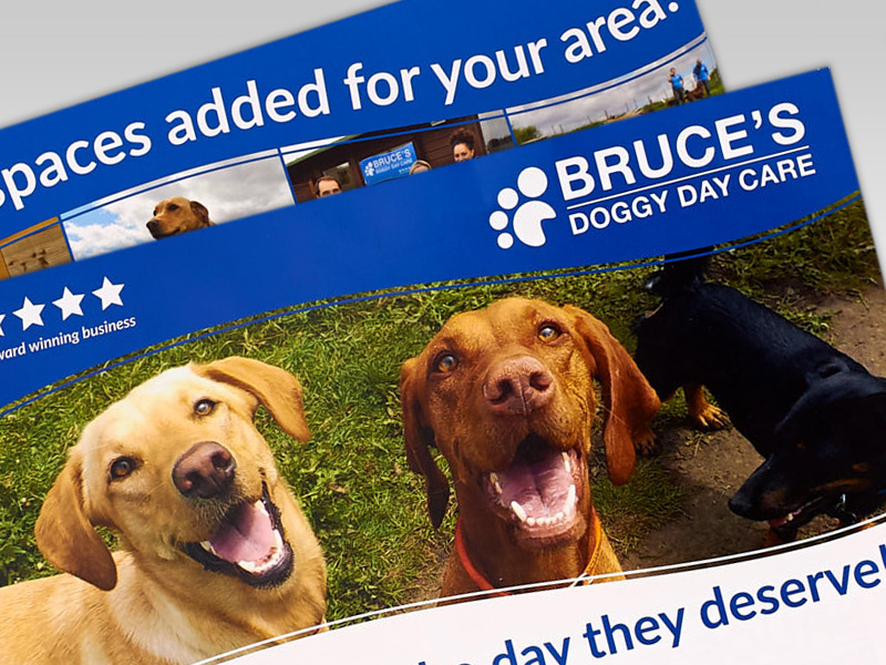 Bruce's Doggy Day Care Promotional Material