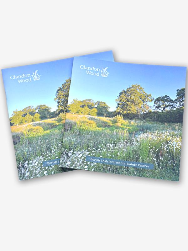 Company-Brochures